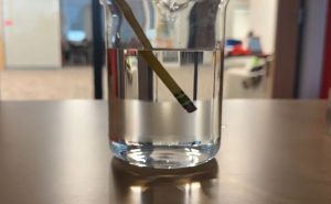 Thumbnail image of a pencil in a beaker of water