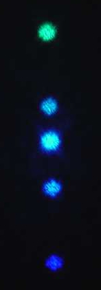 Dots of blue light