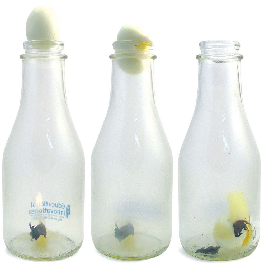 egg in a bottle example image